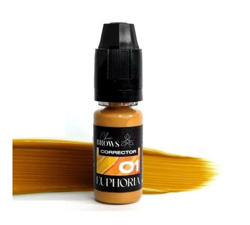 Пігмент для брів CHIC BROWS EUPHORIA CORRECTOR 01
